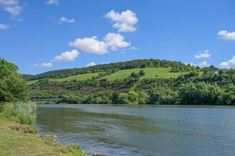 River Main near Zellingen