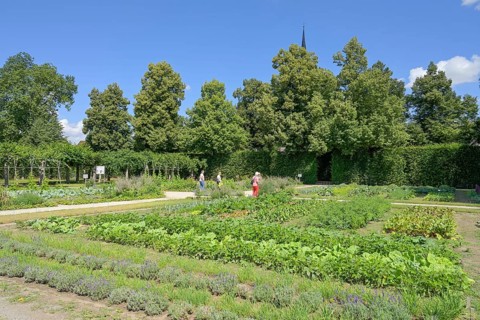 Kitchen Garden Veitshoechheim Palace
