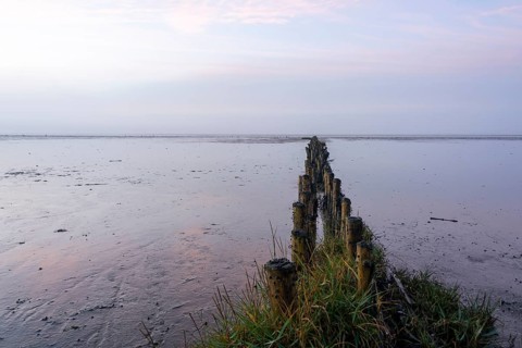 Breakwater at sunrise