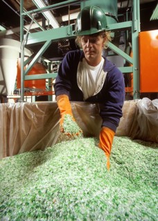 Plastic Recycling