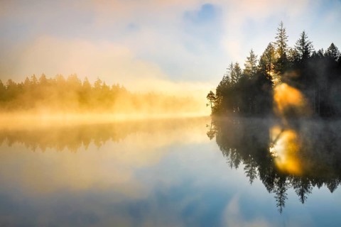 Backlit sunrise with wafts of mist over the mirror-smooth moorland lake Etang de la Gruere in the canton of Jura
