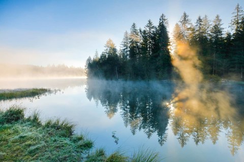 Rays of sunshine make their way through forest and fog at the mirror-smooth moorland lake Etang de la Gruere in the canton of Jura