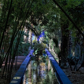 Blue canal with water plants leads through bamboo grove