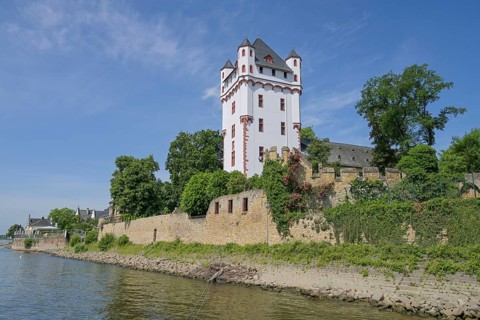 Rhine