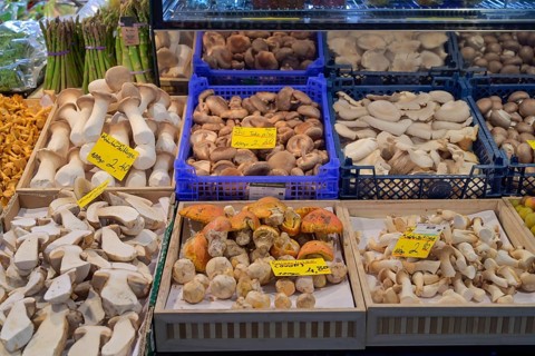 Edible mushrooms