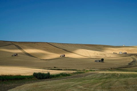 Landscape around Irsina