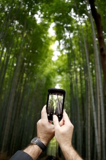 Tourist taking photos with smartphone in Arashiyama bamboo forest in Kyoto