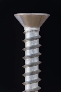 Close-Up of a Wood Screw
