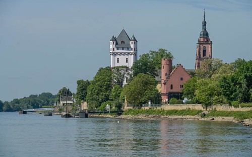 Rhine