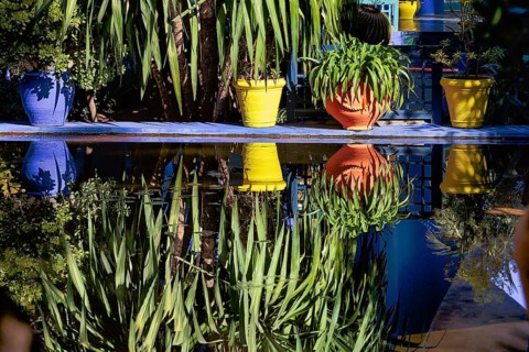 Different coloured flower pots in front of a blue house in the botanical garden Jardin Majorelle