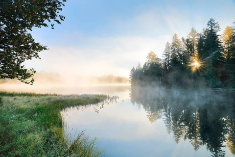 Rays of sunshine make their way through forest and fog at the mirror-smooth moorland lake Etang de la Gruere in the canton of Jura