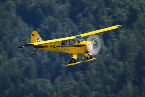 Vintage aircraft Aviat A-1 Husky in flight