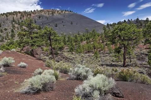 Crater National Monument is located north of Flagstaff in U. S. State of Arizona. The date of the eruptions that formed the 340-meter-high cone