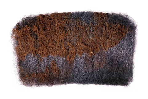 Rusting Steelwool