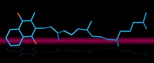 Vitamin K denotes a group of lipophilic