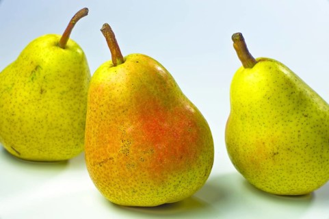 Williams pears