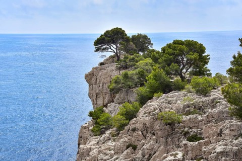 At the Calanque Port Pin near Cassis on the Cote d'Azur in Provence