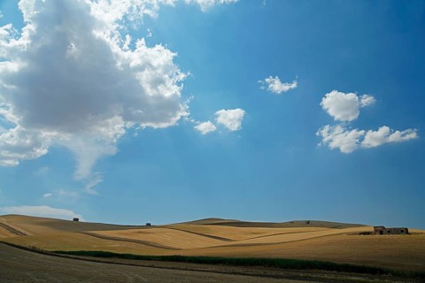 Landscape around Irsina