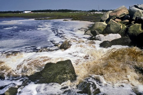 Dumpinig of Untreated Sewage into Tidal Basin