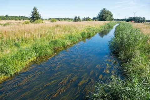River Blotnica