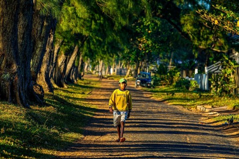 Man walking through the artifical planted tree line