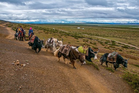 Pilgrims on the Kailash Kora