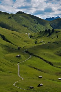 Alpine meadows in Hochkrumbach on the Hochtannberg Pass in Vorarlberg