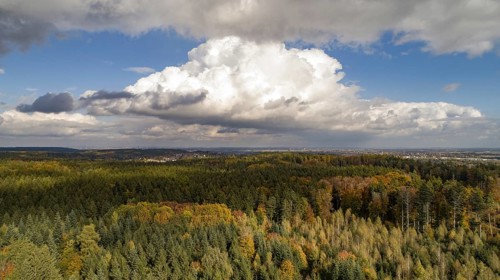 Aerial view of the autumn-coloured nature park Westliche Waelder near Augsburg