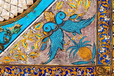 Parrots