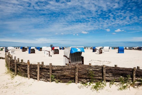 Beach chairs on the sandy beach