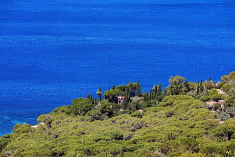 Holiday home framed by cypresses on Golfo Stella