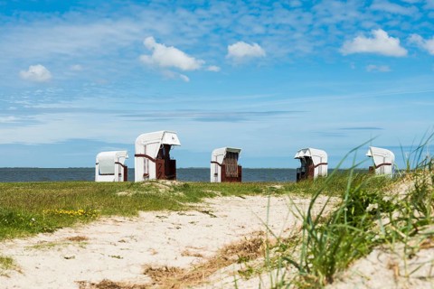 Beach chairs on the sandy beach