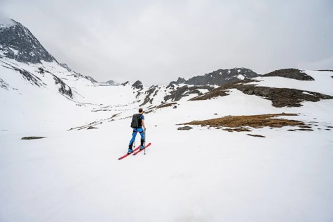 Ski tourers ascending Sommerwandferner