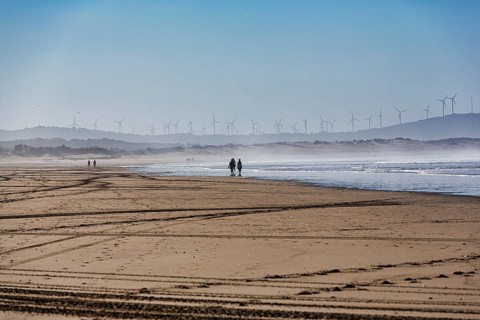 Tyre tracks and walkers on the beach