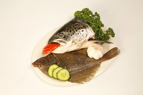 Plaice