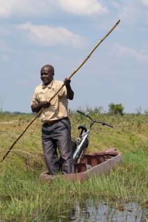 Man pushing dugout canoe with bicycle through swamp