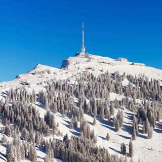 Winter Landscape