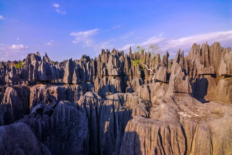 Unesco world heritage sight Tsingy de Bemaraha Strict Nature Reserve