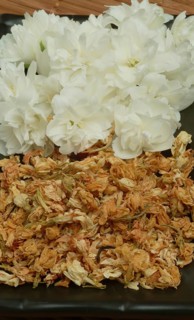 True common jasmine