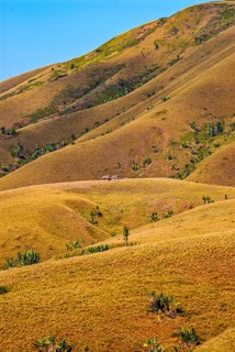 Eroding savanah hills on the east coast near Manakara on the east coast of Madagascar
