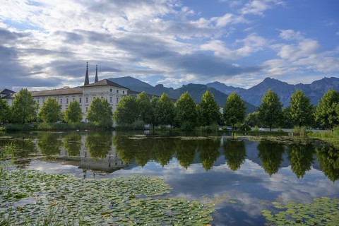 Pond with water lilies at Admont Abbey