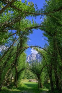 Willow Dome in the background Planspitze