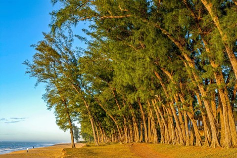 Long sandy beach in Manakara on the east coast of Madagascar