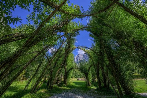 Willow Dome in the background Planspitze