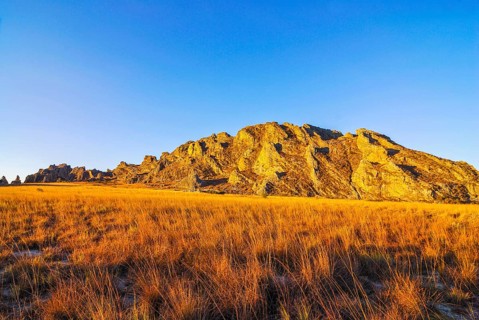 Savannah at sunset in the Isalo National Park