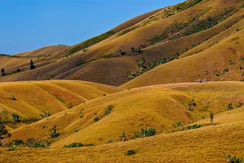 Eroding savanah hills on the east coast near Manakara on the east coast of Madagascar
