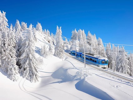 Cogwheel railway rides through snow-covered forest