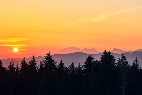 View of Saentis and Alpstein at sunrise