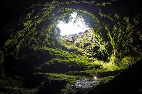Algar do Carvao Natural Reserve cave
