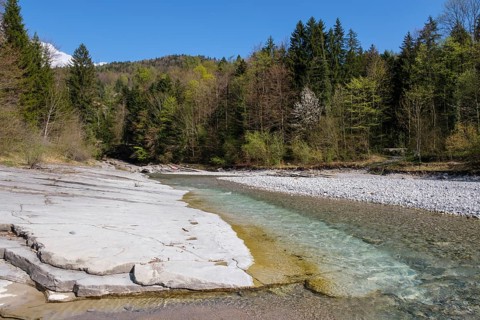 Tauglbachgries